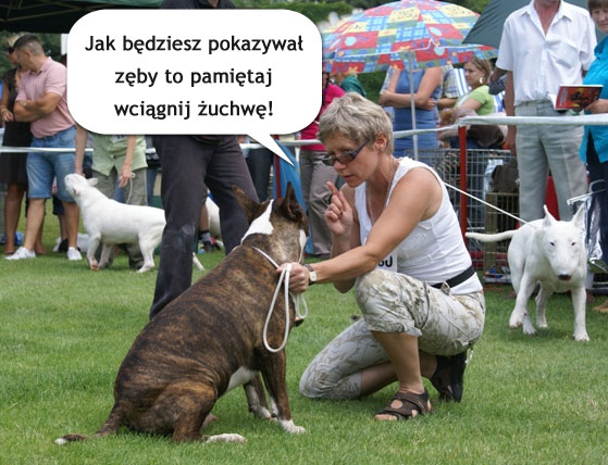 zeby zeby